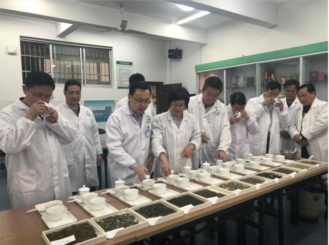 瀟湘茶業(yè)開展花茶審評(píng)和座談會(huì)，劉仲華院士等專家共謀花茶產(chǎn)業(yè)發(fā)展
