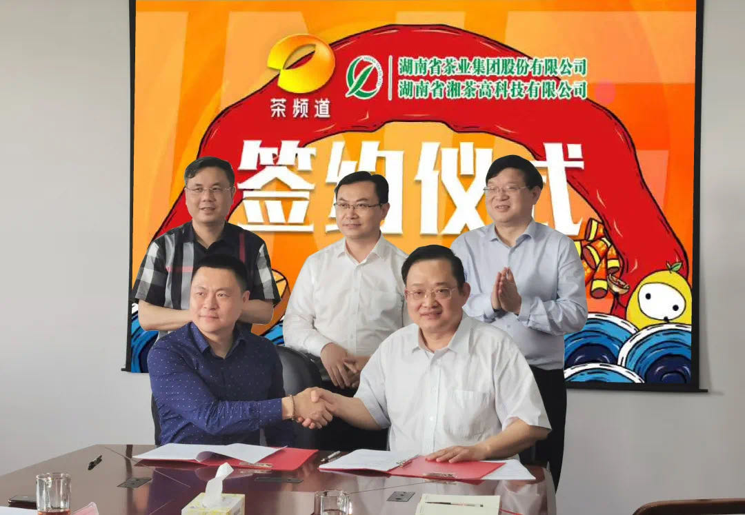 院士見證，輕輕茶發(fā)力品牌建設(shè)，與茶頻道達(dá)成深度合作