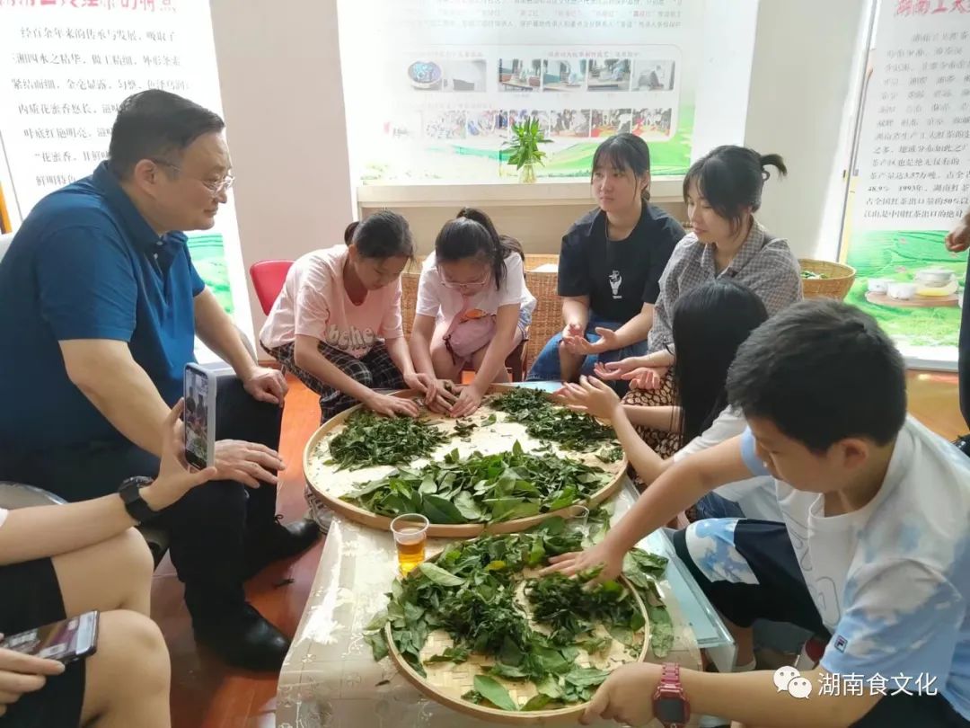 原載人民日報“人民視點”茶葉是怎樣做出來的？湖南大、中、小學生體驗湖南工夫紅茶制作